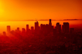 Toxicity charge what you need to know